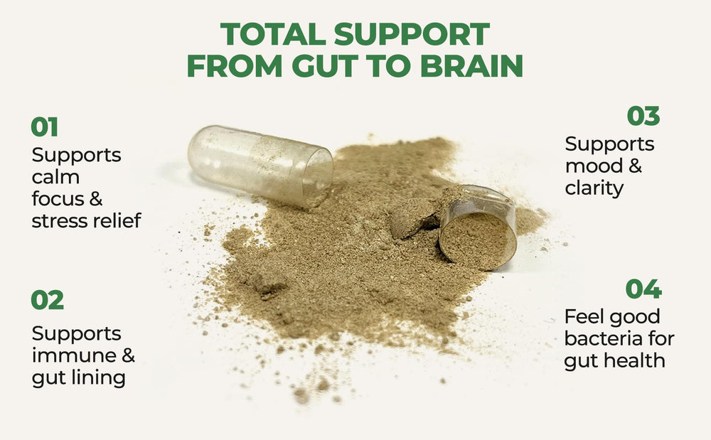 CoreHealth image showing Ashwagandha and L-Theanine icons for focus support