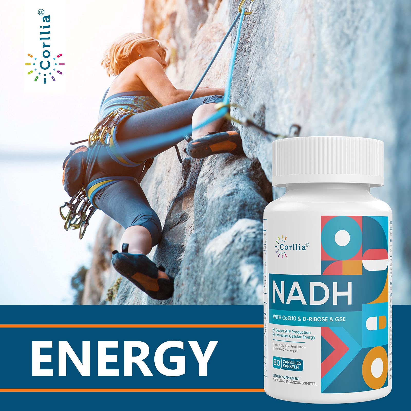Graphic featuring Corllia NADH ingredients and grape extract blend.