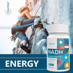 Graphic featuring Corllia NADH ingredients and grape extract blend.