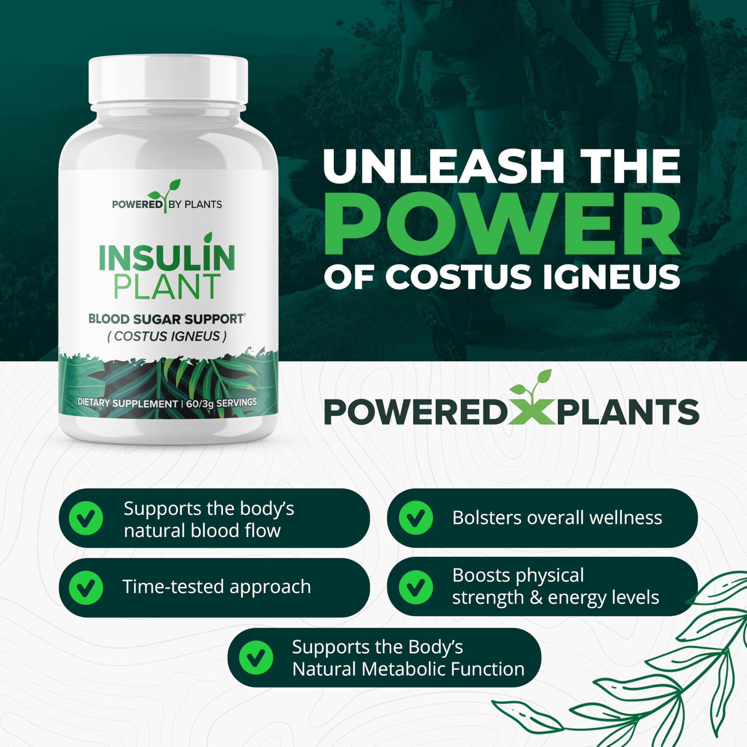 Costus igneus leaf powder closeup emphasizes natural herb content.