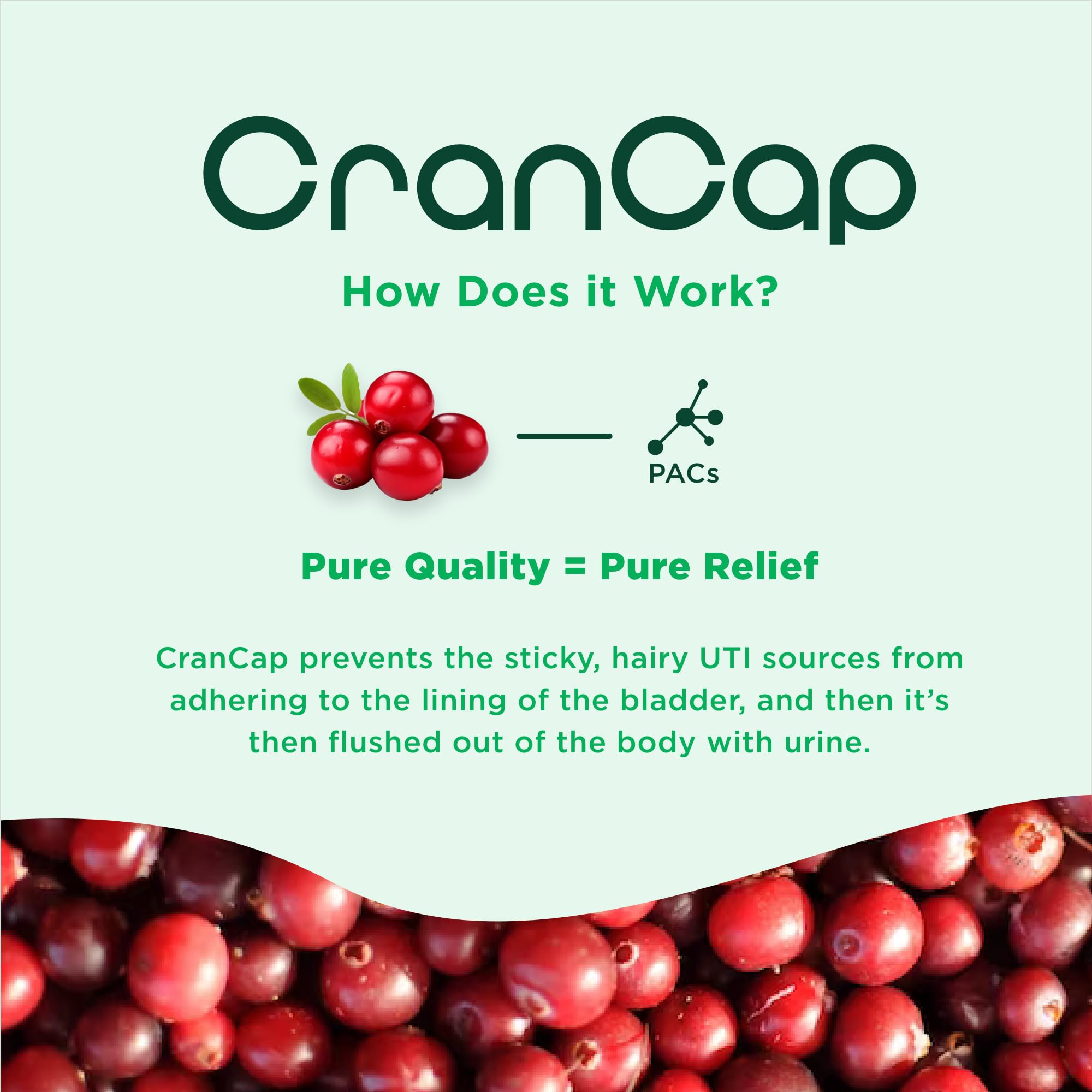 CranCap 90-count bottle ready for easy daily supplementation.