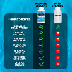 CREATURE Creatine HCL capsules close-up for fast absorption during training