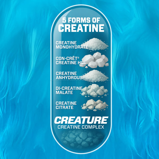 CREATURE Creatine Monohydrate capsules close-up for strength and steady energy