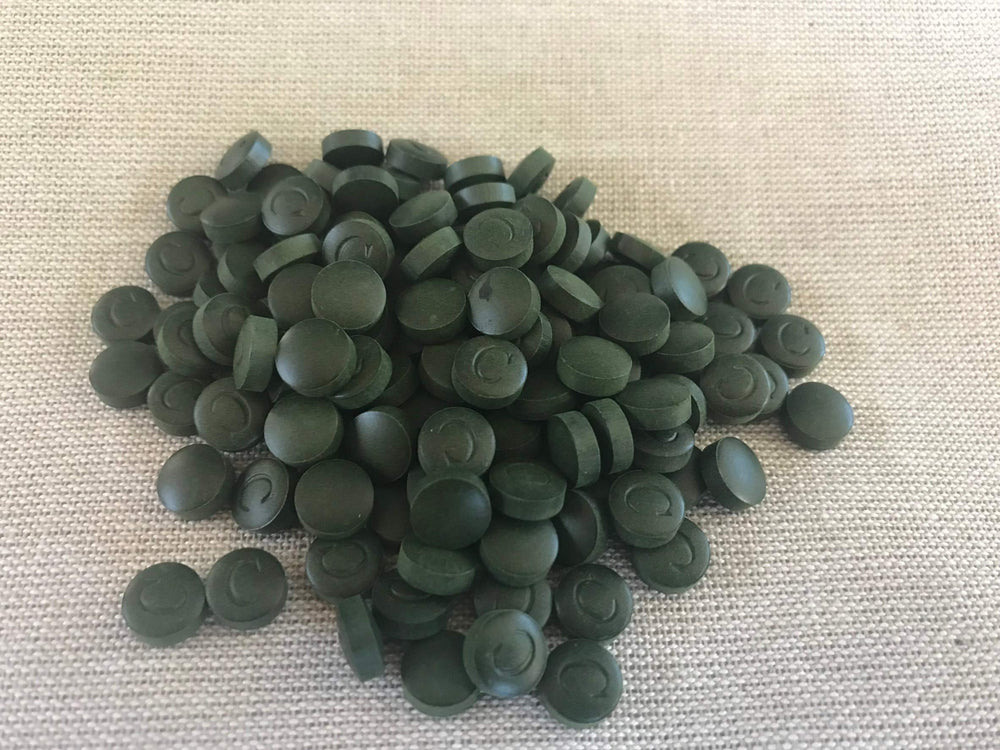 Cryptomonadales nutrition chart highlighting protein, chlorophyll, and minerals