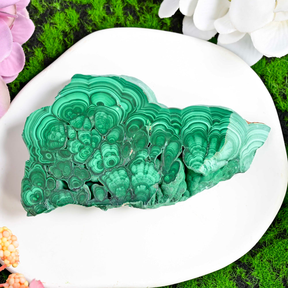 CrystalHola malachite palm stone ready for pocket carry and energy collection