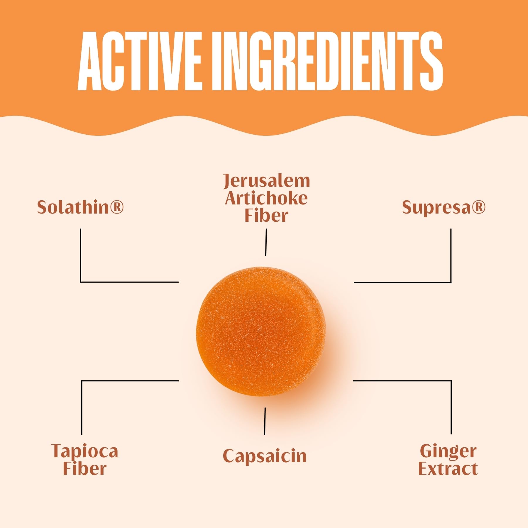 curb APPETITE on a desk, focus-friendly energy while reducing snacking.