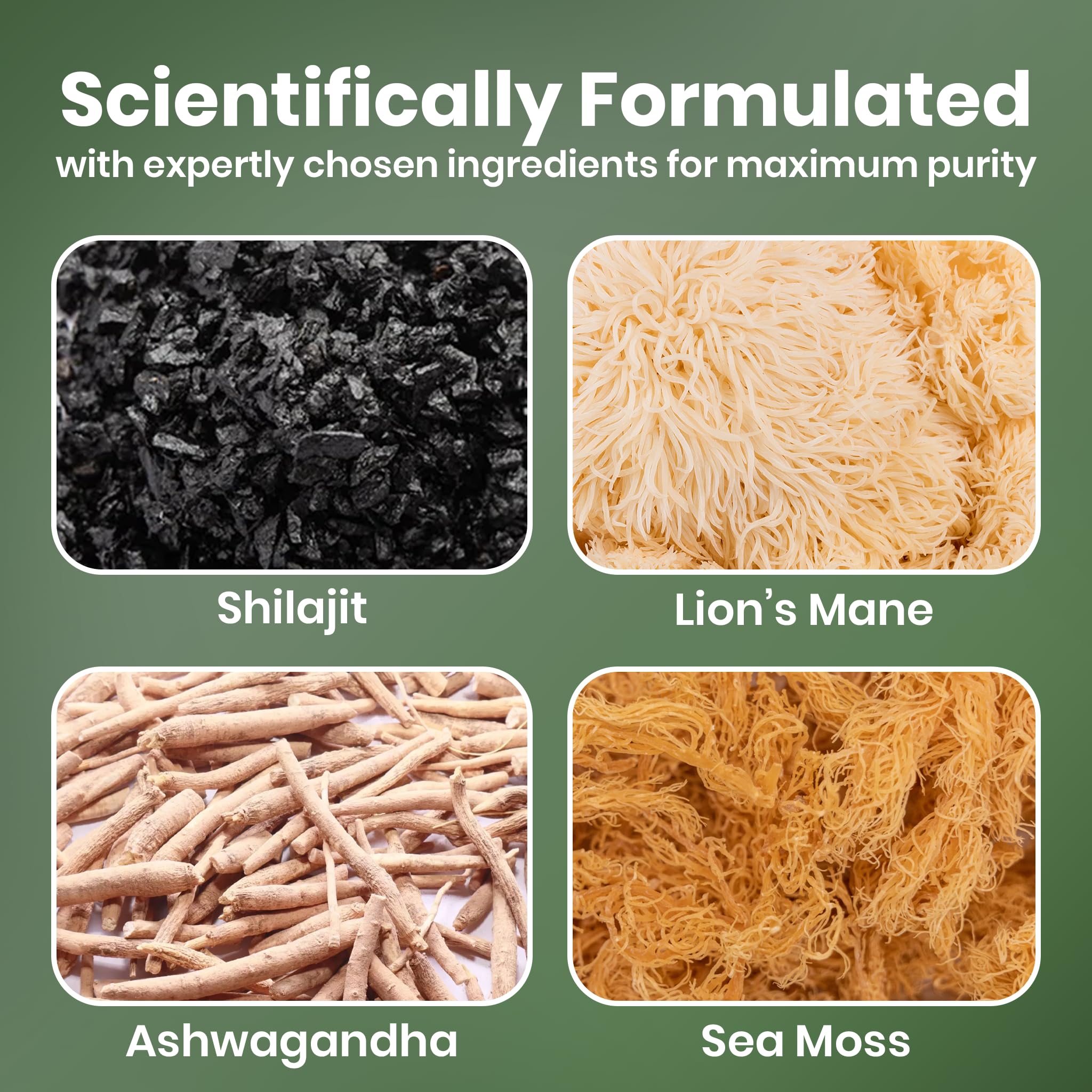 Cured 4-in-1 vitality gummies with ashwagandha and KSM-66 support calm motivation.