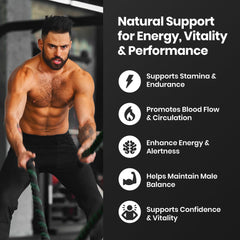 Cured Shilajit Honey Stick science-backed blend for daily wellness