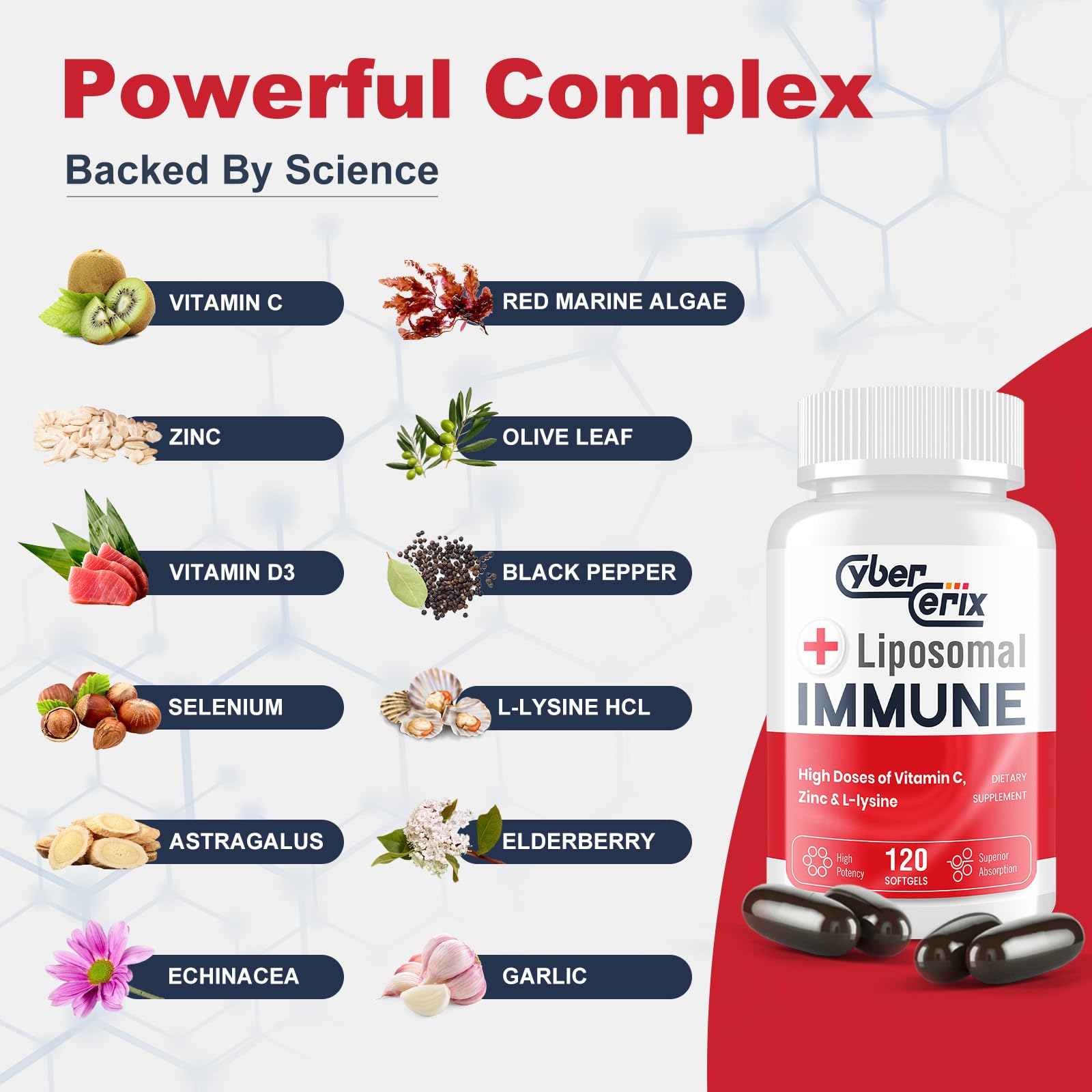 CyberCerix herbal immune complex with echinacea astragalus elderberry