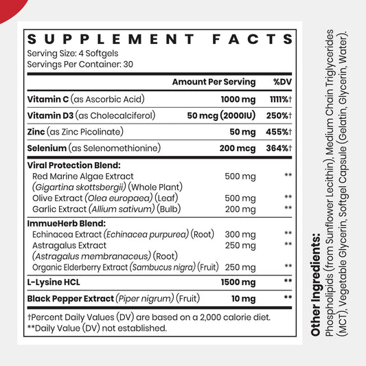 CyberCerix lysine 1500mg capsule close-up
