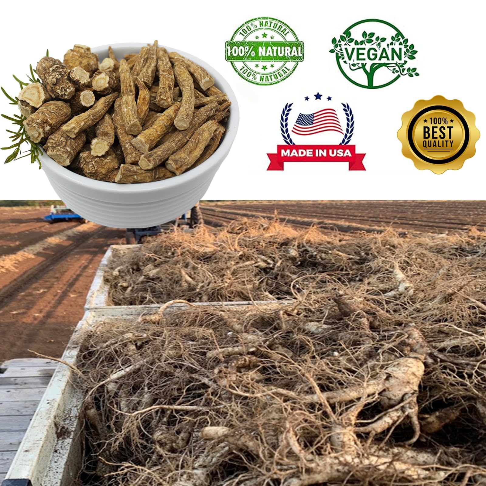 DABC OAK LAND ginseng slices in bowl ready for addition to meals