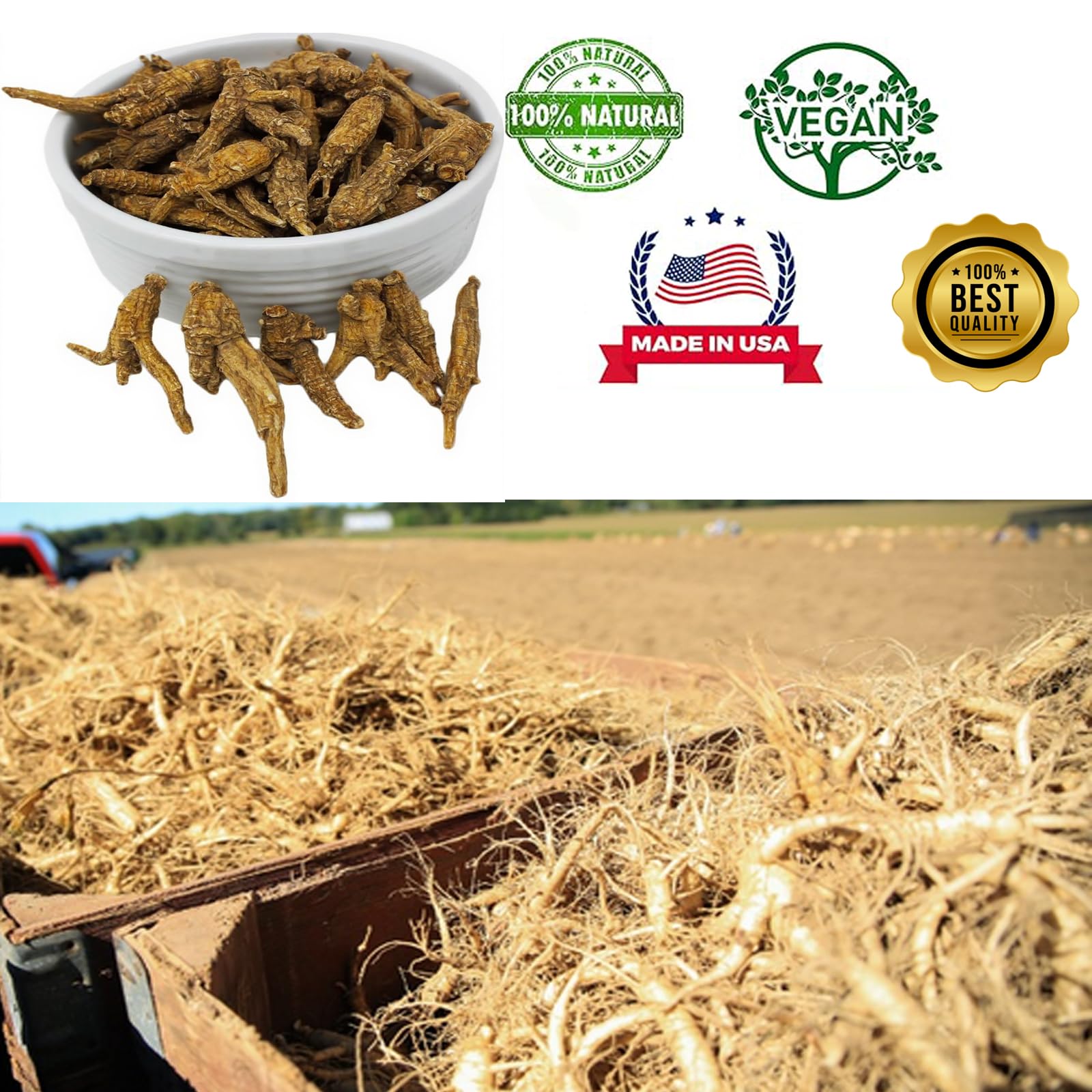 DABC OAK LAND ginseng slices ready to eat for convenient energy support.