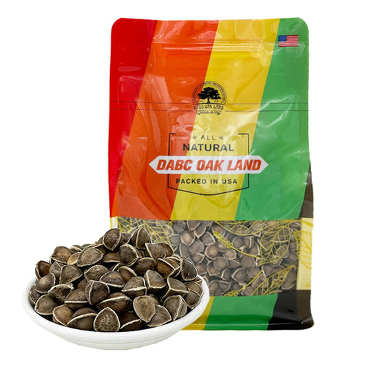 DABC OAK LAND premium moringa seed bag, ideal for home planting.