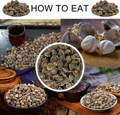 DABC OAK LAND moringa seed bulk pack ideal for ongoing planting.