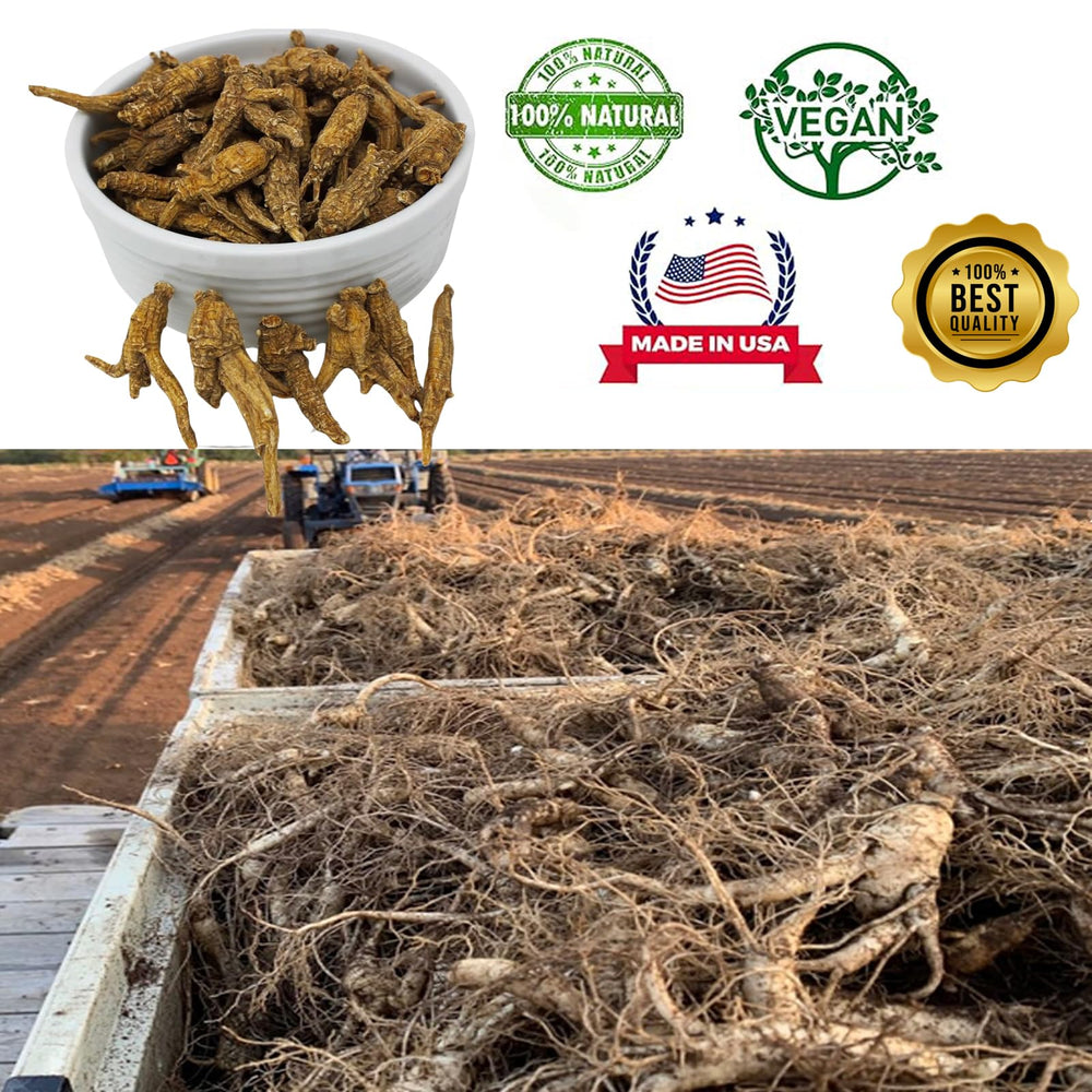 DABC OAK LAND Wisconsin farm origin with controlled drying for purity.