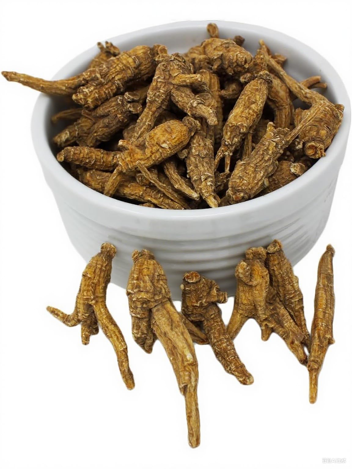 DABC OAK LAND Wisconsin American ginseng slices ready for daily use.