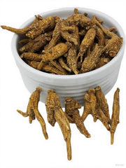 DABC OAK LAND Wisconsin American ginseng slices ready for daily use.