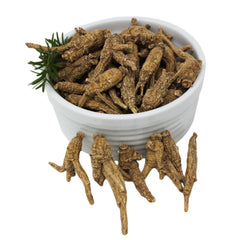 DABC OAK LAND Wisconsin American ginseng slices ideal for kitchens and drinks.