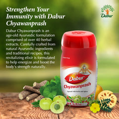 Dabur Chyawanprash Spread on toast highlighting rich texture and flavor