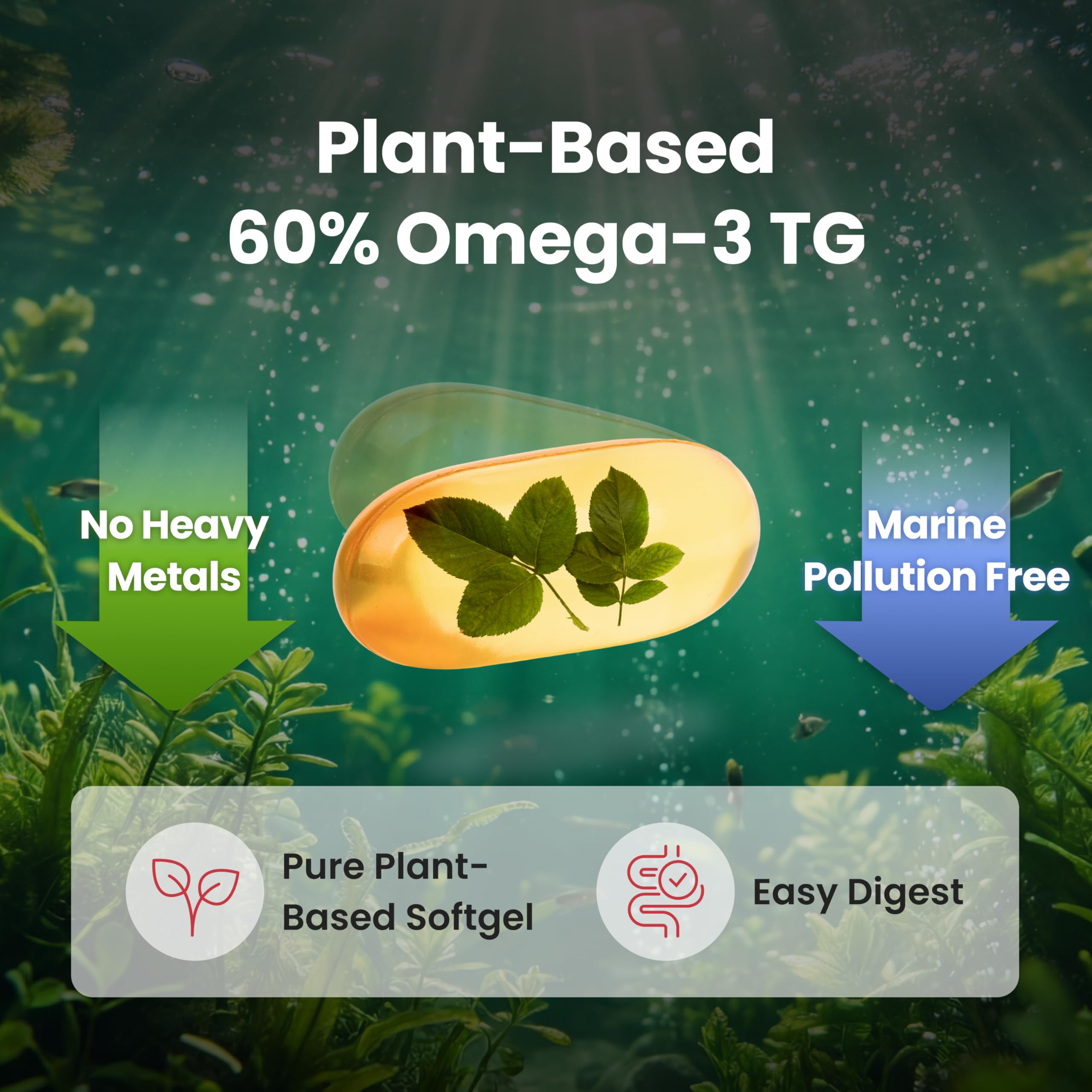 DAEWON HEALTH EPA-DHA image hints at potential heart, brain, and eye health benefits