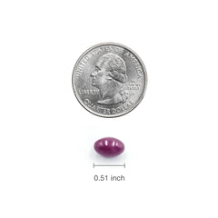Two-pack packaging offers extended supply and savings.