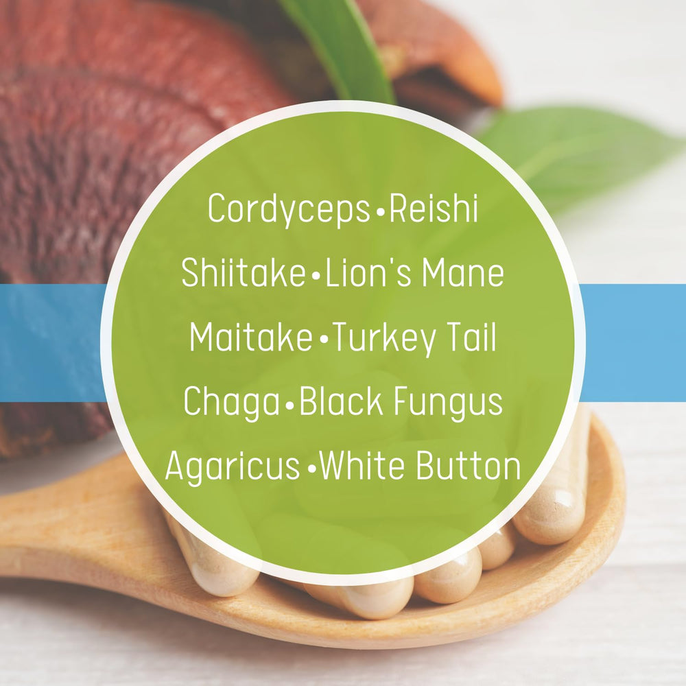 Daily Health 10 Mushroom Blend label close-up highlighting vegan gluten-free mushroom blend
