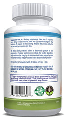 Daily Health Probiotic Lactobacillus plantarum digestive benefits illustration