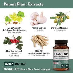 DailyNutra Herbal-BP capsules closeup for easy daily intake