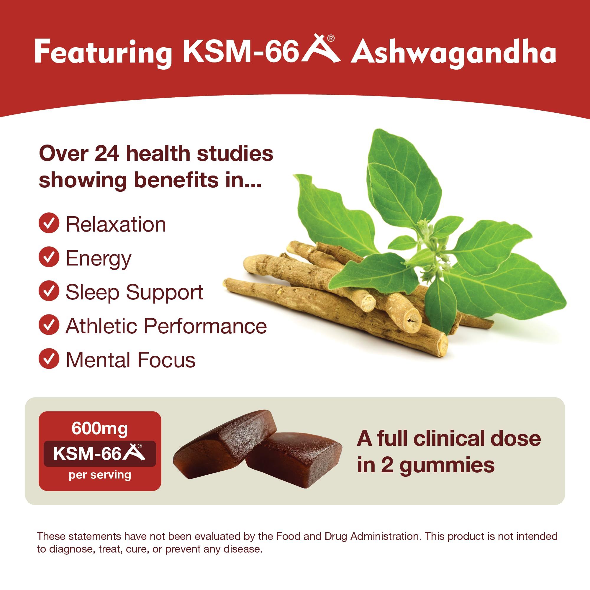 DailyNutra KSM-66 Gummies closeup highlights smooth texture for quick daily use.