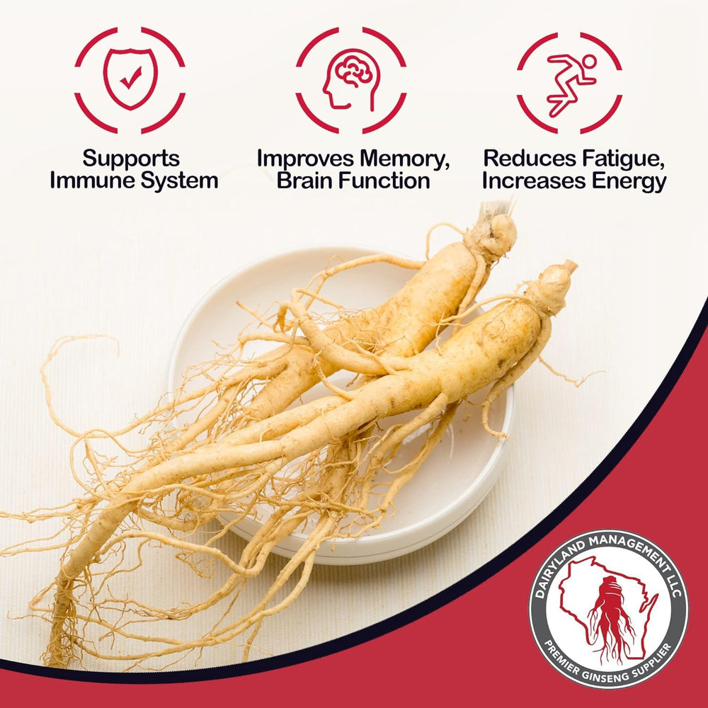 Dairyland American Ginseng ground root powder close-up for purity and quality.