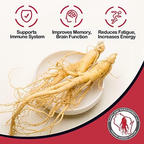 Dairyland American Ginseng Roots 16oz package showcasing fresh harvest.