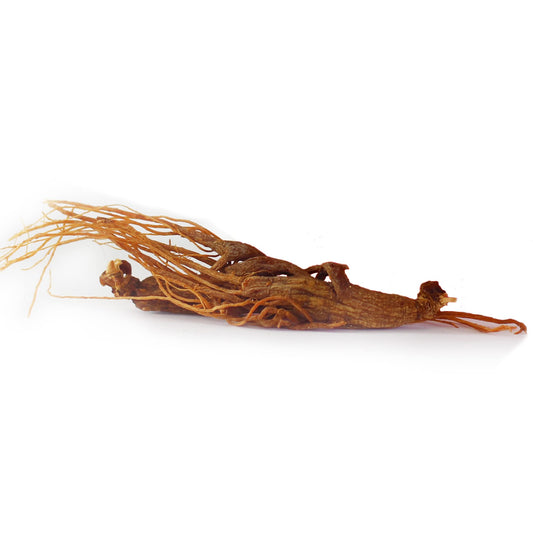 Dairyland Panax Ginseng Root slices closeup; versatile for simmering, stews, and teas