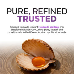 Graphic of plasmalogen concept within Daiwa Advanced Omega-3 formula for brain health