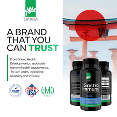 Daiwa GastroImmune capsule image evokes calm daily digestive routine.