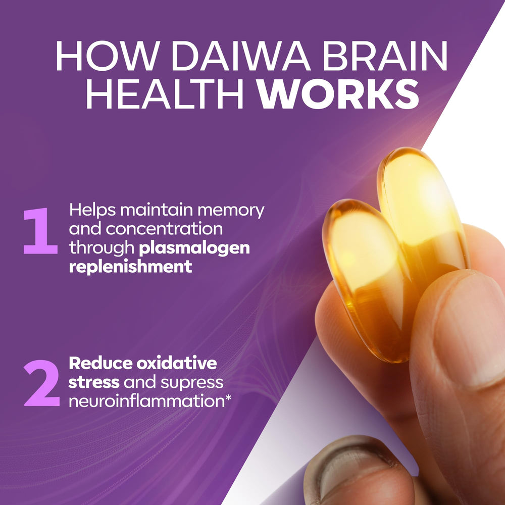 Daiwa Hokkaido Scallop Oil plasmalogen illustration emphasizes targeted brain nutrition.