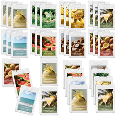 Dansib Power Mist 24-pack bulk pack viewed from front for gifting and sharing.