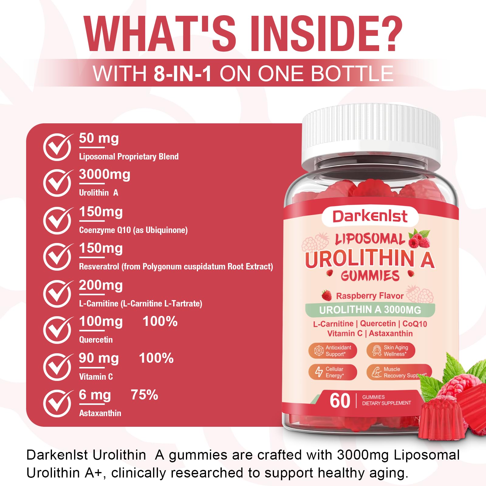 Darkenlst CoQ10 and L-Carnitine formula supports steady energy throughout the day.
