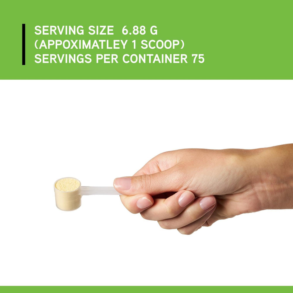 DaVinci bone health support with magnesium aiding density and strength.
