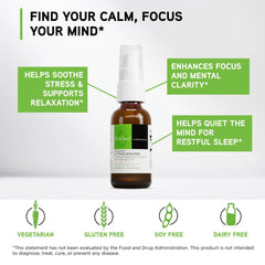 DAVINCI label close-up shows green tea-derived L-Theanine supporting balanced mood