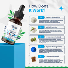 Dawa Detox blue spirulina and MCT oil ingredient blend for focus