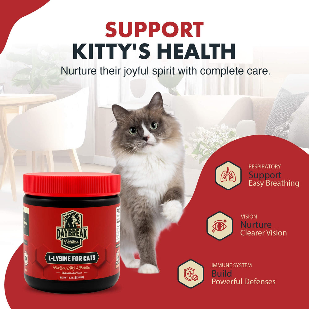 Daybreak Nutrition lysine powder cat dosing spoon makes daily supplementation simple.