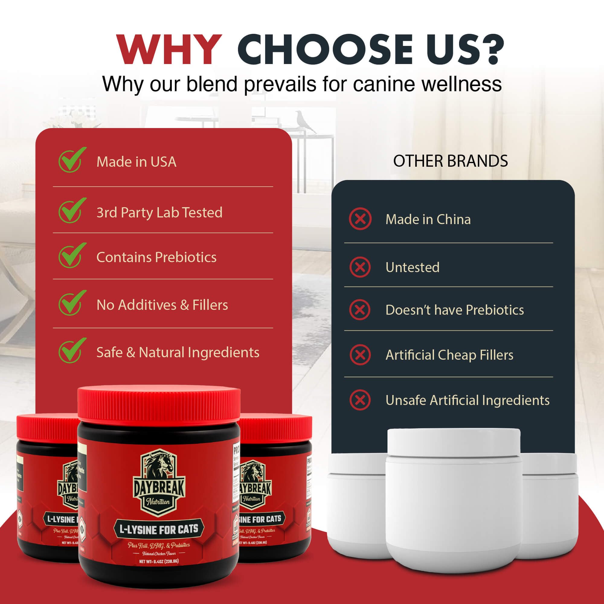 Daybreak Nutrition lysine powder topping for cat food enhances palatability and smooth mixing.