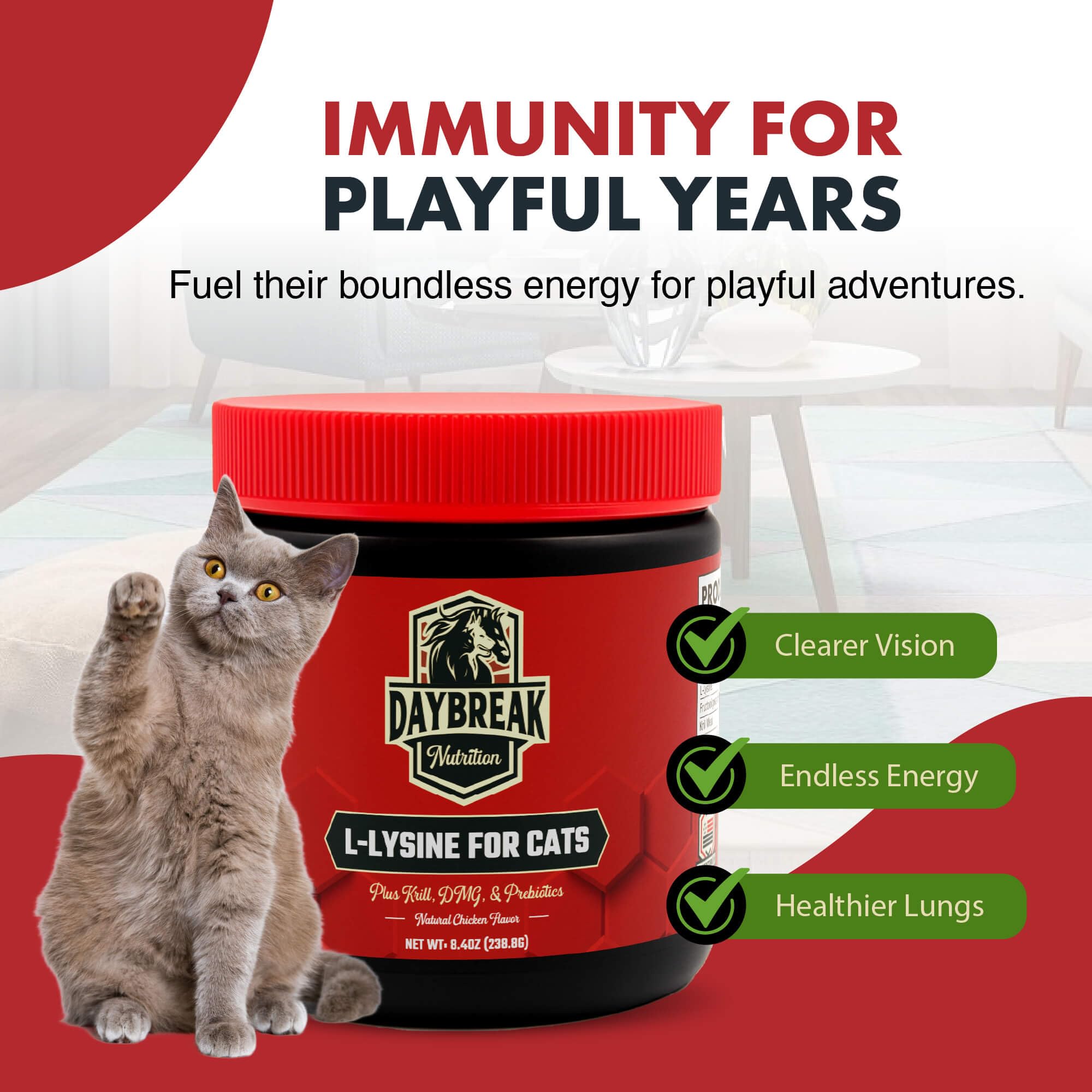 Daybreak Nutrition lysine powder DMG adds a cofactor for daily vitality in cats.