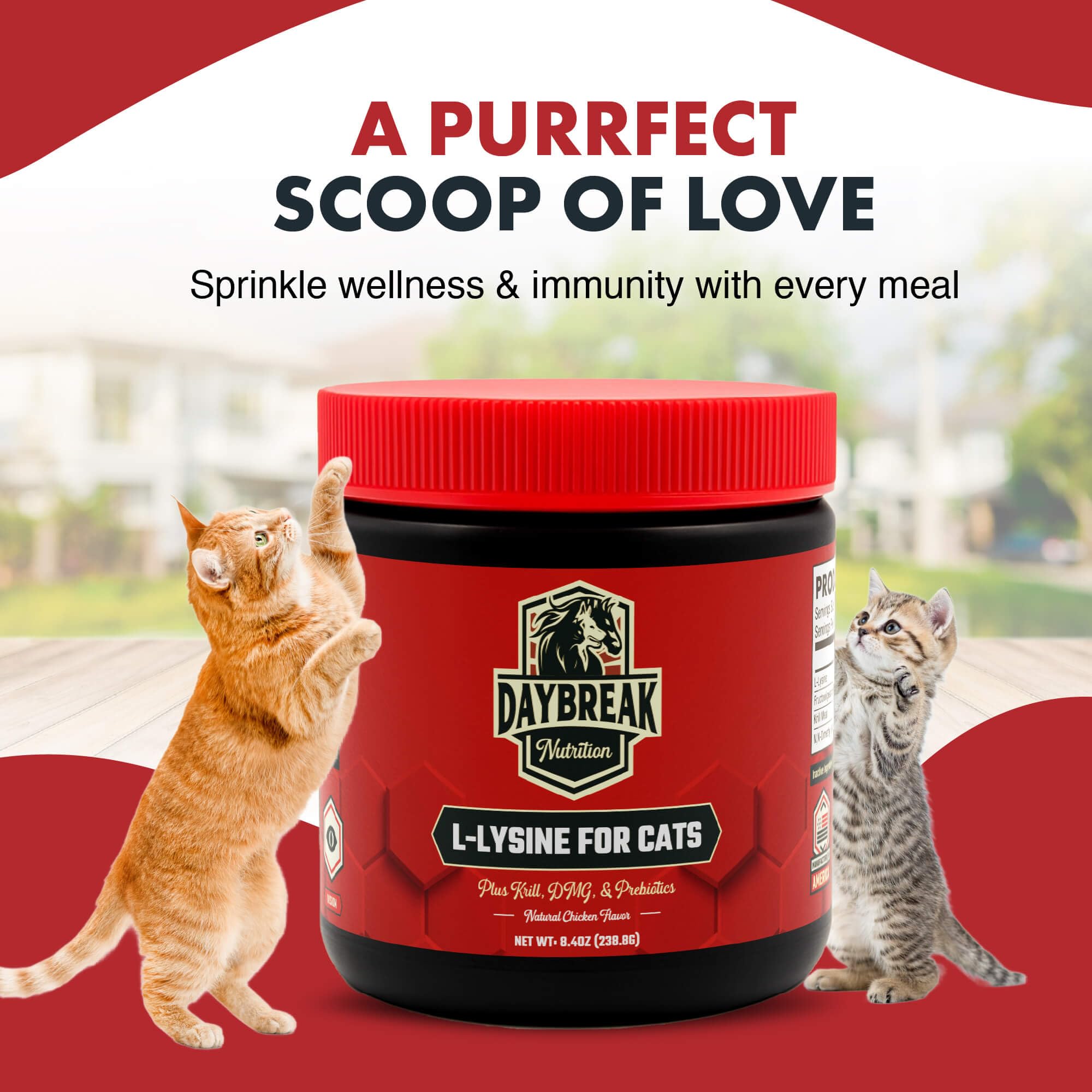 Daybreak Nutrition lysine powder packaging highlights 120 servings and clear labeling.