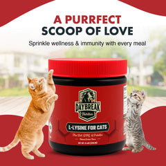 Daybreak Nutrition lysine powder packaging highlights 120 servings and clear labeling.