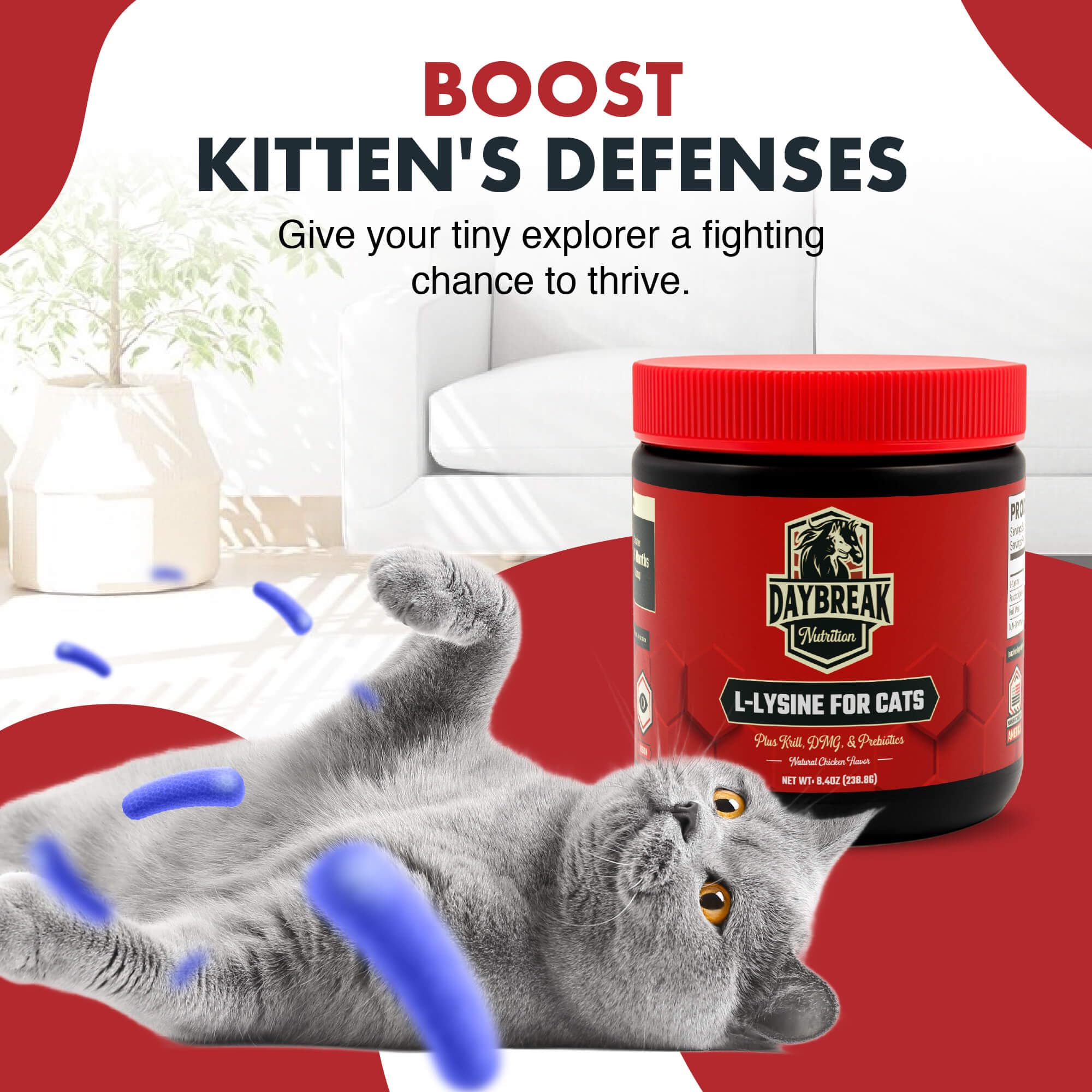 Daybreak Nutrition lysine powder prebiotic blend supports gut-friendly nutrition for cats.