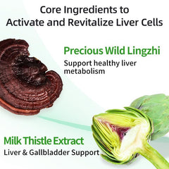 DCXC Liver Detox milk thistle ingredient featured for liver support