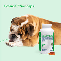 Dechra Eicosa3FF SnipCaps packaging emphasizing a large 120-count supply