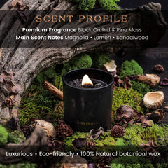 Natural soy, coconut and beeswax candle providing clean burn and refined aroma.