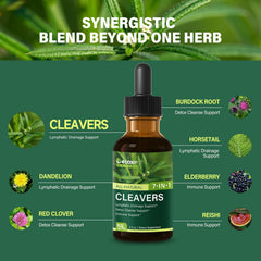 DetoxenNATURE Cleavers ingredients panel features dandelion and horsetail for drainage.